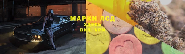 гидропоника Инта