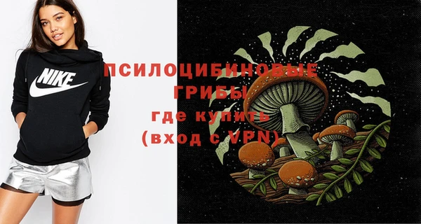гидропоника Инта