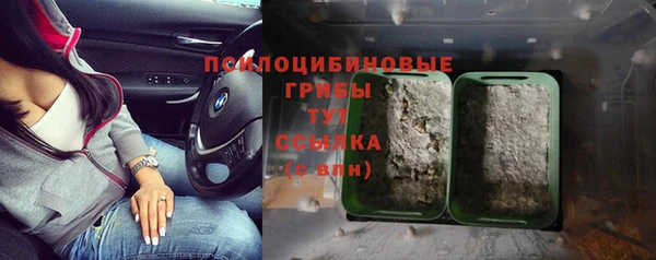 mdma Зеленокумск