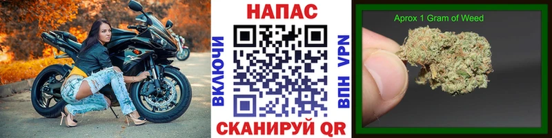 Купить  Кочубеевское  Канабис Ganja 
